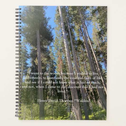 Forêt d'arbres Carnet Thoreau (Devant)