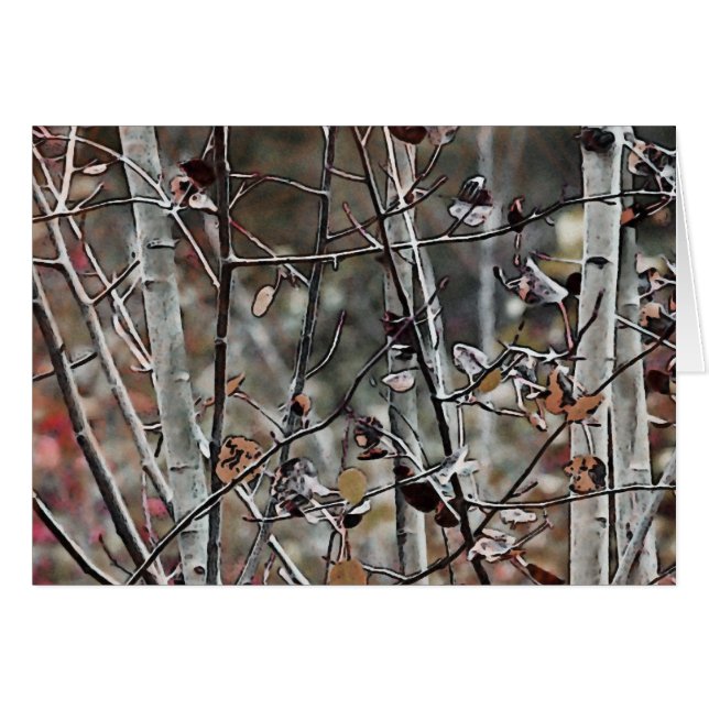 Forêt d'Aspen Fin d'automne (Devant horizontal)