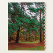 Forêt d'automne (Dos)