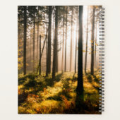 Forêt d'automne avec rayons solaires (Dos)