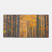 Forêt d'automne d'or étonnante (Recto)
