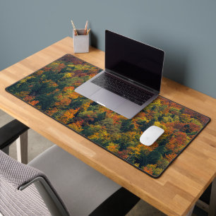 Forêt d'automne étonnante