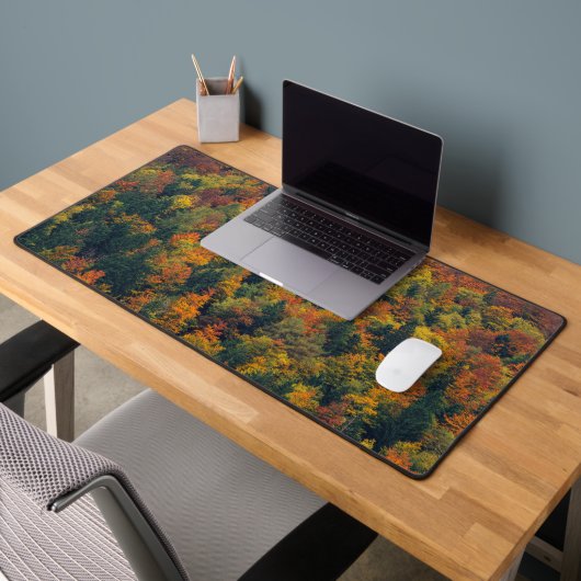 Forêt d'automne étonnante (Bureau 2)