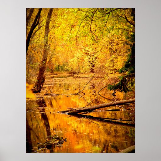 Forêt d'automne Jaune Imprimer Poster Oeuvre mural (Devant)