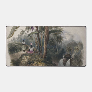 Forêt de bananiers tropicaux antiques   Bota vinta