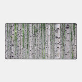 Forêt de Birch Nature (Recto)