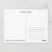 Forêt de chênes. Carte postale (Dos)