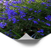 Forêt de cloches bleues, affiche chrétienne, psaum (Coin)