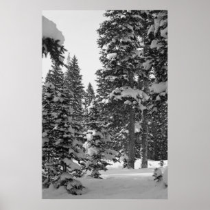 Forêt de neige Poster noir et blanc