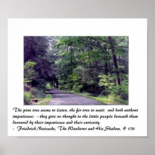 Forêt de Nietzsche - affiche (Devant)