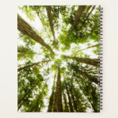 Forêt de pluie verte (Dos)