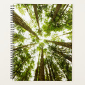 Forêt de pluie verte (Devant)