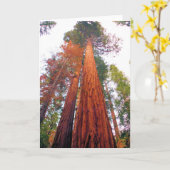 Forêt de séquoia - masquez la carte de voeux (Fleur jaune)