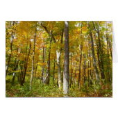 Forêt du paysage d'automne Feuille Jaune (Devant Horizontal)