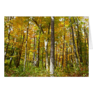Forêt du paysage d'automne Feuille Jaune
