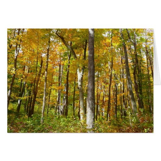 Forêt du paysage d'automne Feuille Jaune (Devant Horizontal)