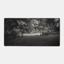 Forêt enneigée la nuit