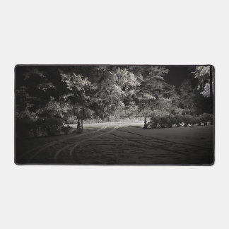 Forêt enneigée la nuit