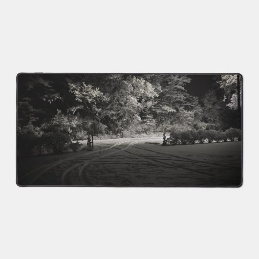 Forêt enneigée la nuit (Recto)