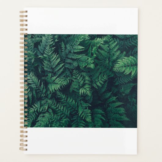 Forêt | Fermes des bois (Devant)