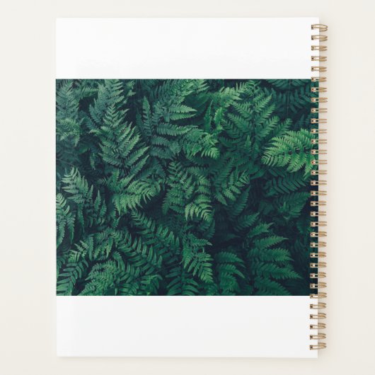 Forêt | Fermes des bois (Dos)