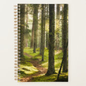 Forêt | Forêt boréale Suède (Devant)