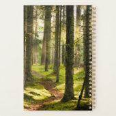 Forêt | Forêt boréale Suède (Dos)