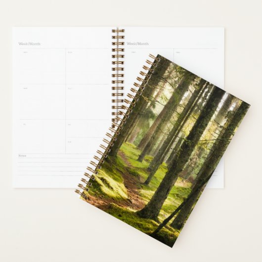 Forêt | Forêt boréale Suède (Devant avec enveloppe)