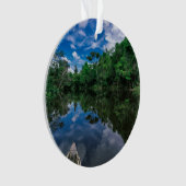 Forêt | Forêt de la jungle péruvienne (devant)