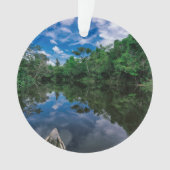 Forêt | Forêt de la jungle péruvienne (devant)