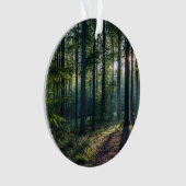 Forêt | Forêt Noire Allemagne (devant)