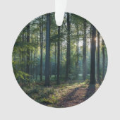 Forêt | Forêt Noire Allemagne (devant)