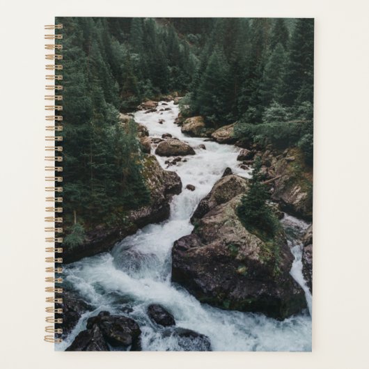 Forêt | Grison Graubunden Canton (Devant)