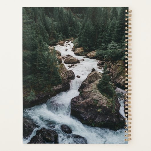 Forêt | Grison Graubunden Canton (Dos)