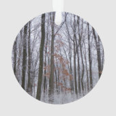 Forêt huppée neige paysage d'hiver Photographie (dos)