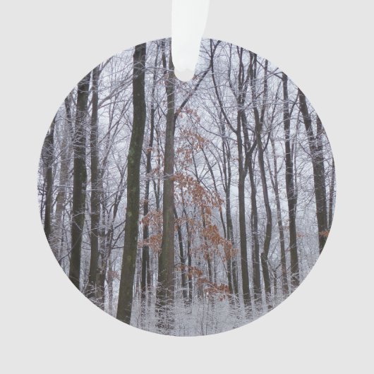 Forêt huppée neige paysage d'hiver Photographie (devant)