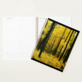 Forêt jaune d'automne (Devant avec enveloppe)