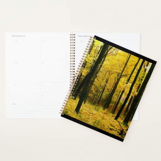 Forêt jaune d'automne (Devant avec enveloppe)