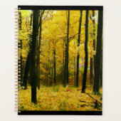 Forêt jaune d'automne (Devant)