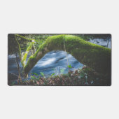 Forêt magique enchantée (Recto)