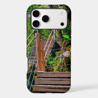 Forêt moussue