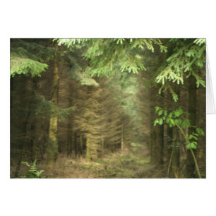 forêt mystérieuse