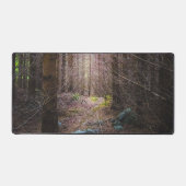 Forêt mystérieuse d'épinette (Recto)