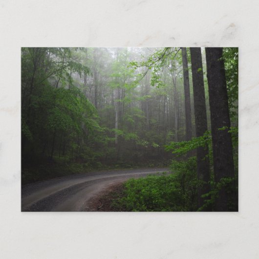 Forêt nationale de Pisgah, Caroline du Nord carte  (Devant)