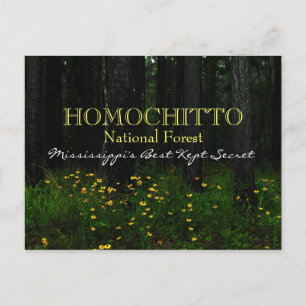 Forêt nationale d'Homochitto - Mississippi carte p