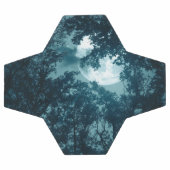 Forêt nocturne enchantée avec pleine lune (Plat)