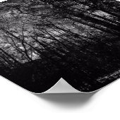 FORÊT NOIRE SUR POSTER (Coin)