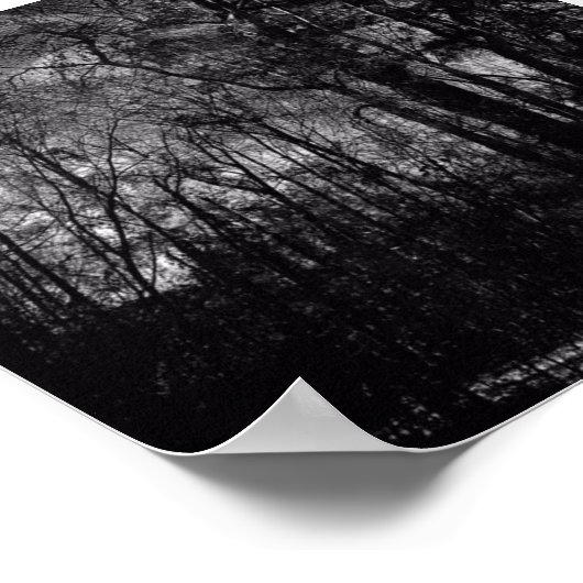 FORÊT NOIRE SUR POSTER (Coin)