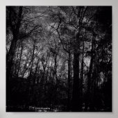 FORÊT NOIRE SUR POSTER (Devant)