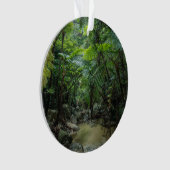 Forêt | Parc national Iriomote Ishigaki (devant)